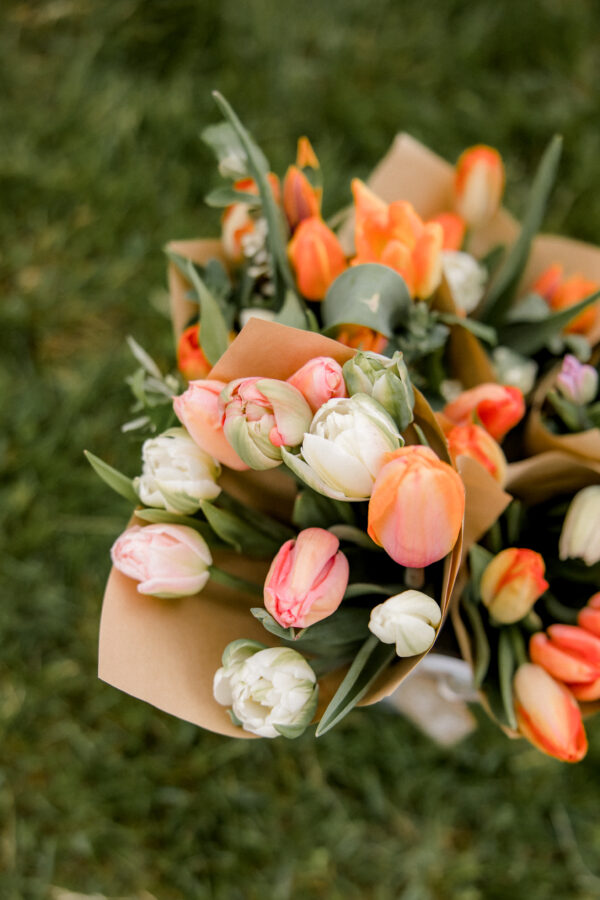 Tulips