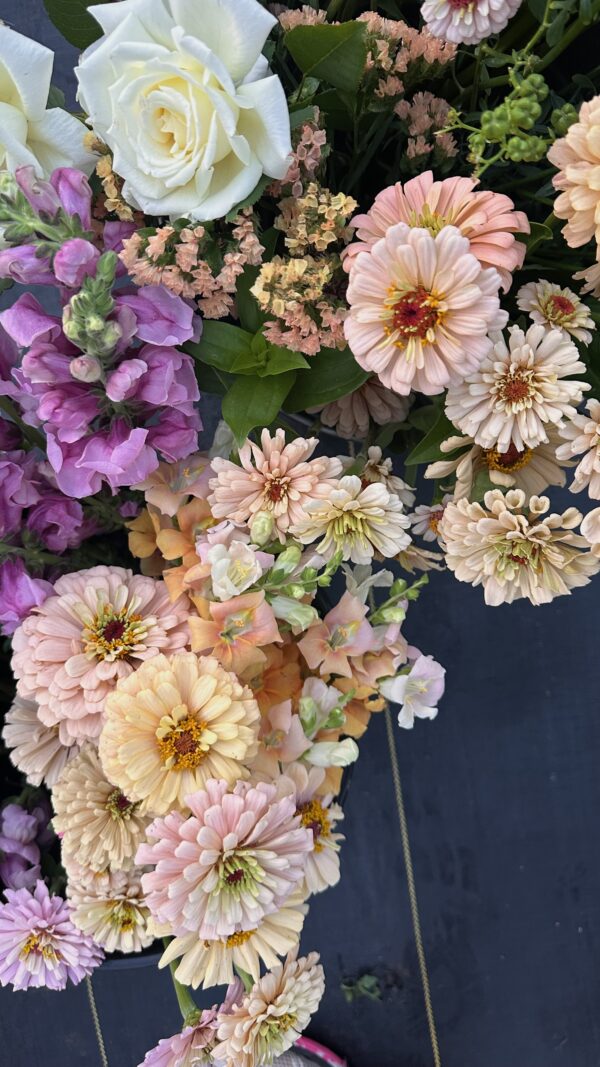 Bucket of snapdragons, zinnias